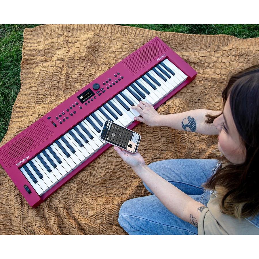 美品　Roland GOKEYS3-RD ダンパーペダル&ケース付 ローランド Roland / GOKEYS3-RD [背負えるキャリング・バッグ