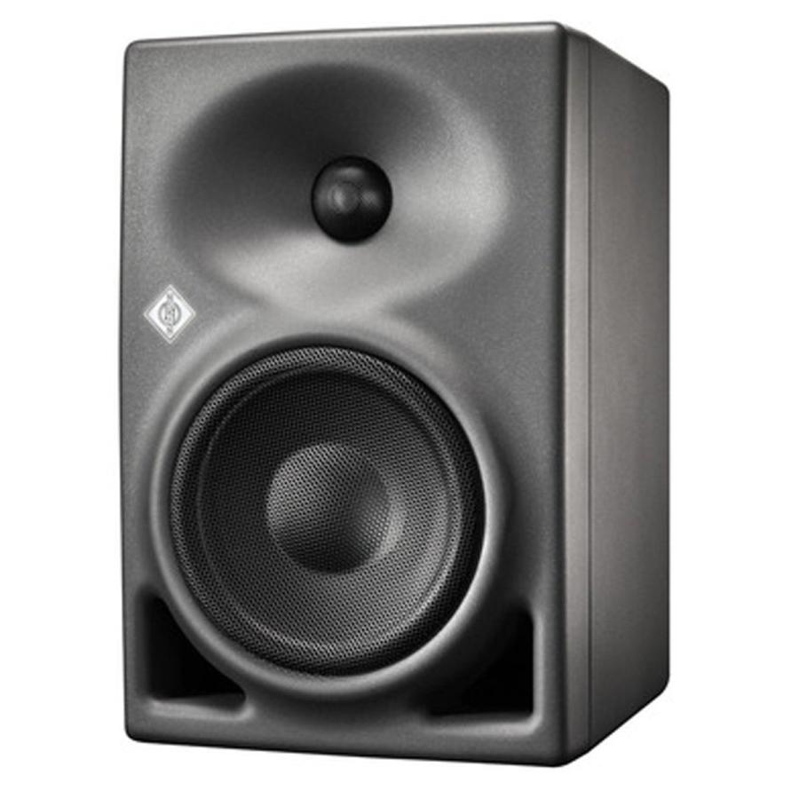 NEUMANN（ノイマン） ノイマン / KH 120 A G (ペア) 2 ウェイパワード