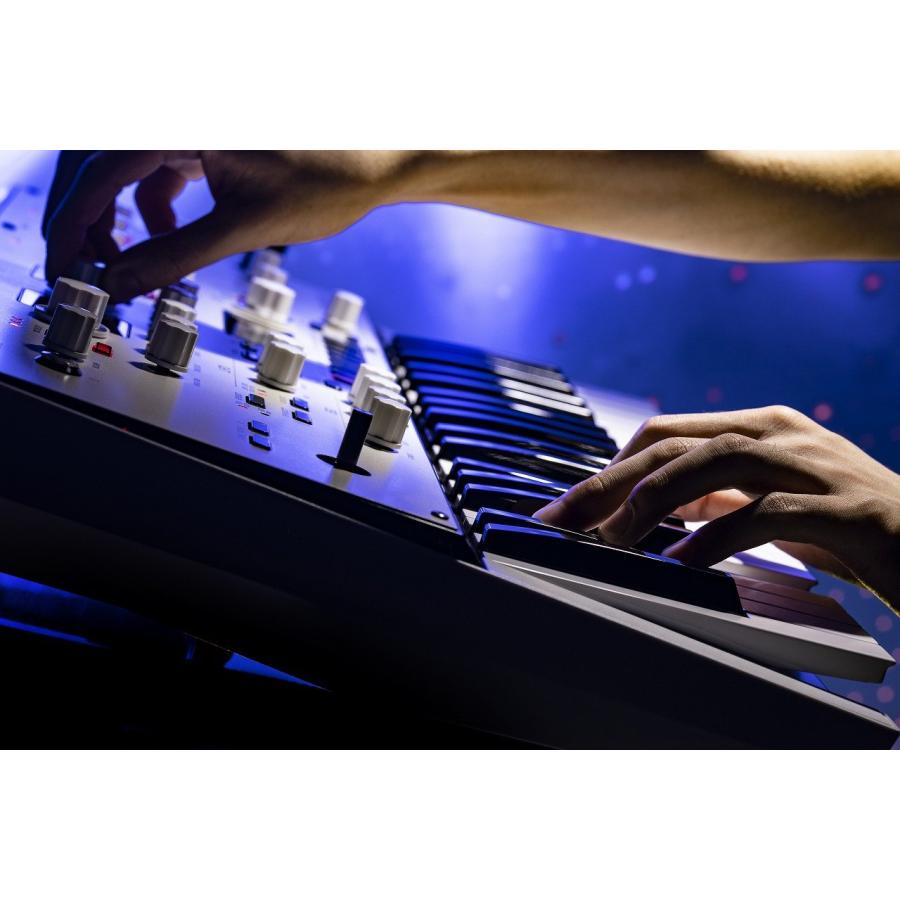 KORG（コルグ） コルグ / KingKORG NEO (キャリングケース ＆ ペダル