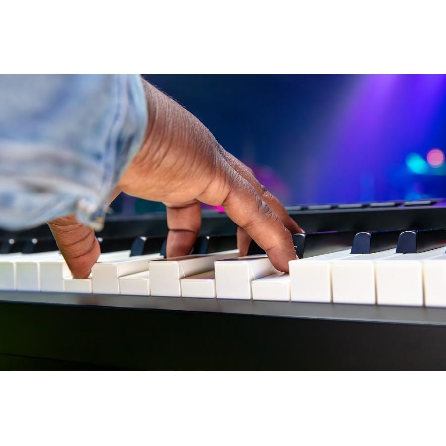 Roland ローランド / RD-88EX [コンプリートセット！] Digital Piano(YRK)_6