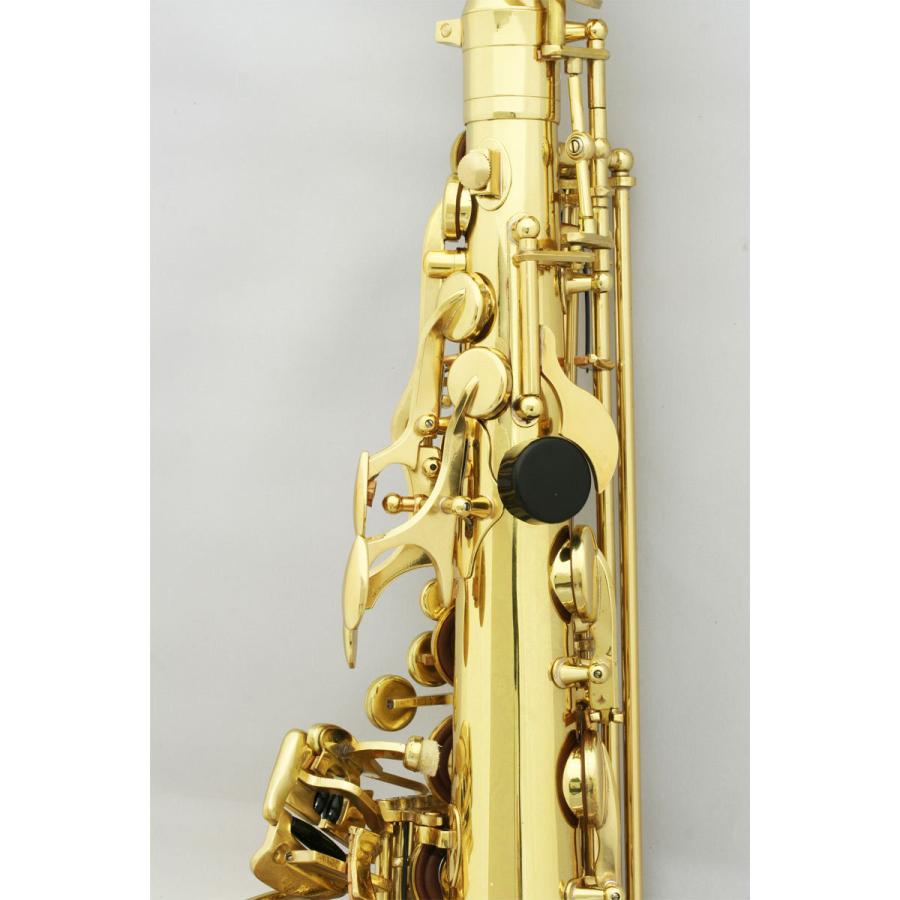 SELVA / 初心者向けアルトサックス入門セット Alto Sax SAS-100 セルバ