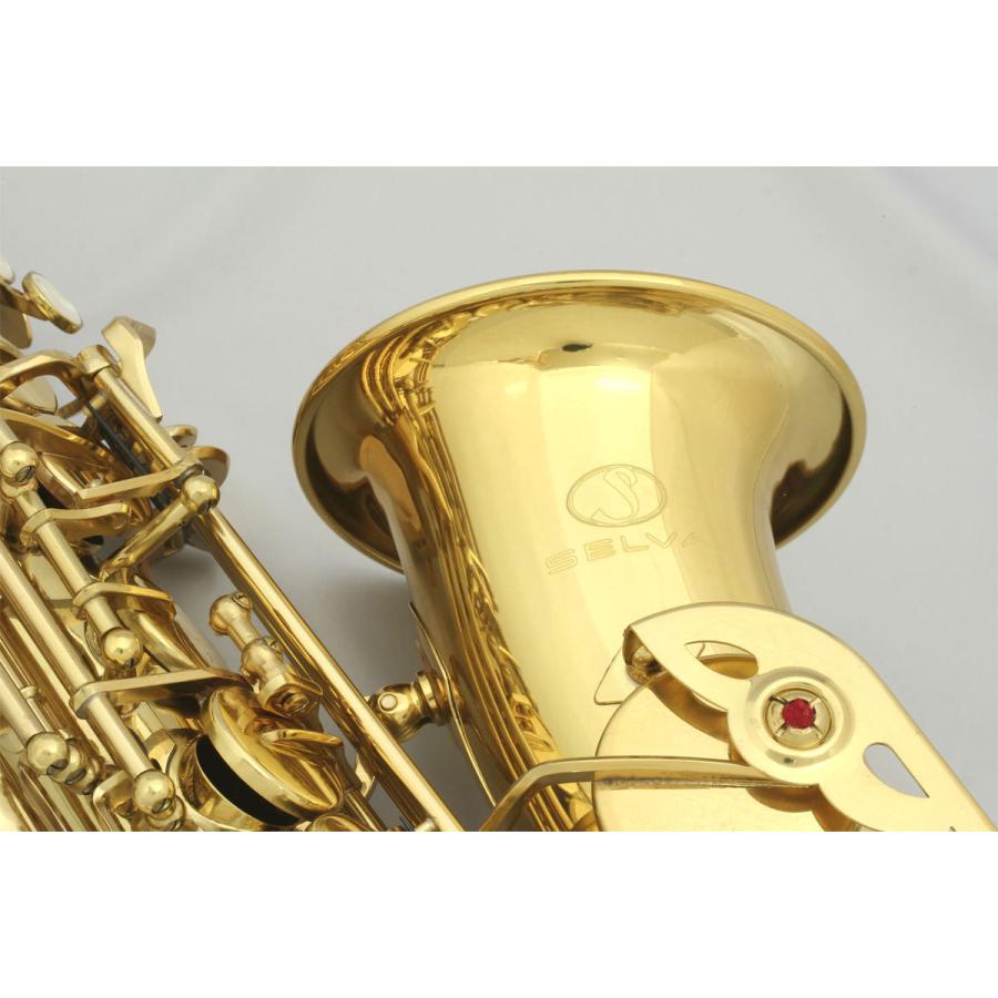 SELVA / 初心者向けアルトサックス入門セット Alto Sax SAS-100 セルバ