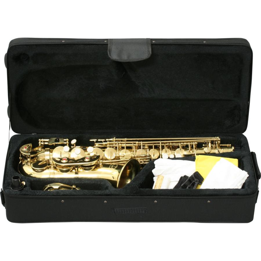 SELVA / 初心者向けアルトサックス入門セット Alto Sax SAS-100 セルバ