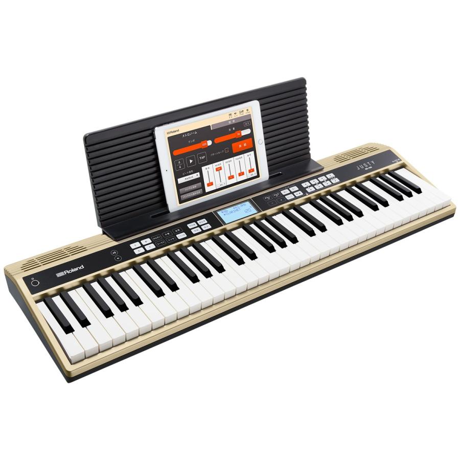 ローランド（Roland） ローランド / JUSTY HK-100 (ケースセット