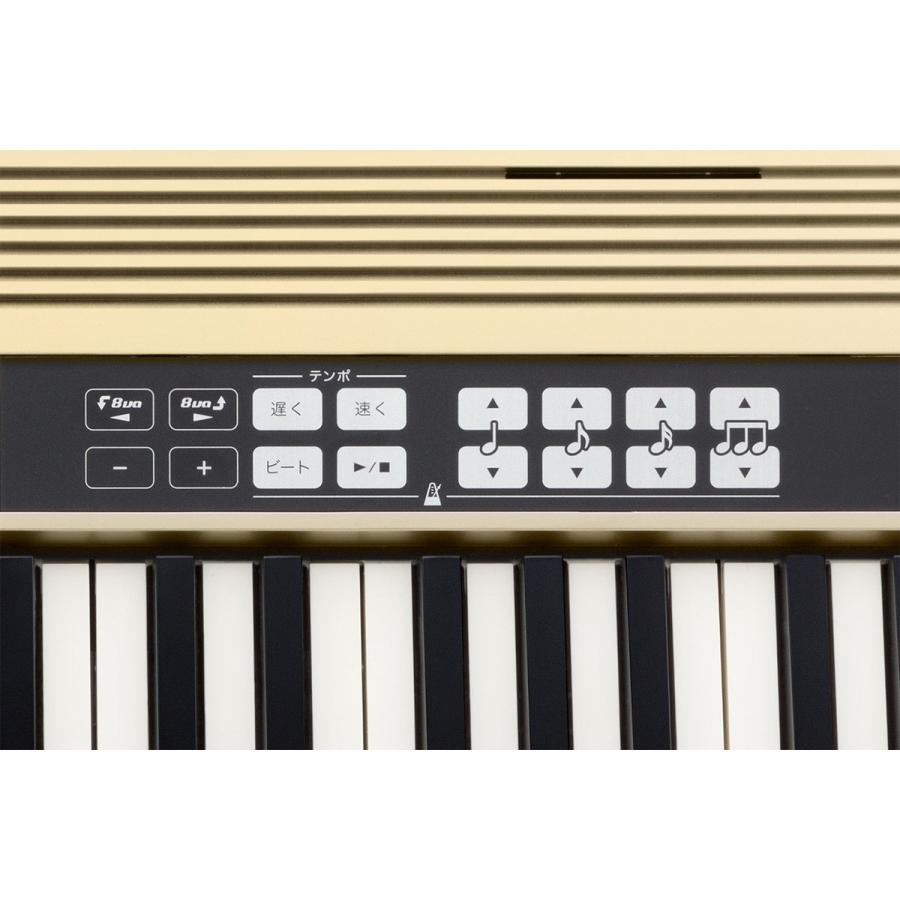 ローランド（Roland） ローランド / JUSTY HK-100 (ケースセット