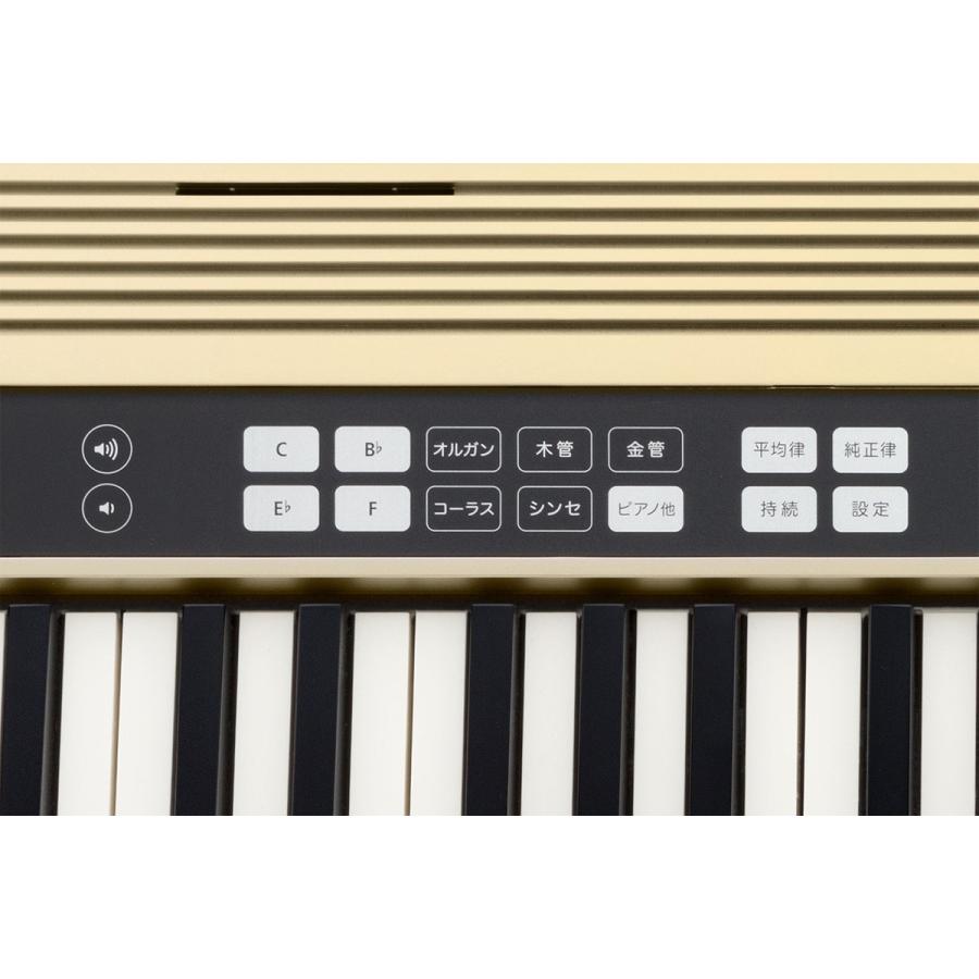 ローランド（Roland） ローランド / JUSTY HK-100 (ケースセット
