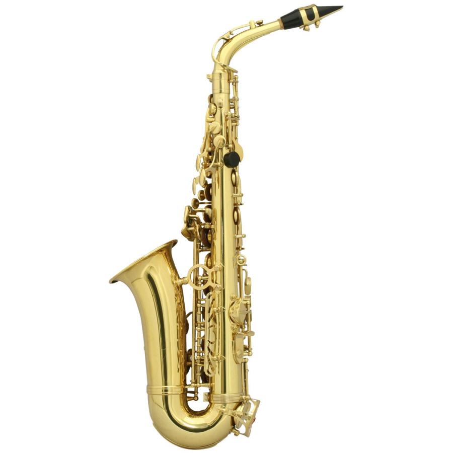 SELVA 初心者向けアルトサックス入門セット ALTOSAX SAS-100 SELVA 初心者向けアルトサックス入門セット ALTOSAX SAS-100