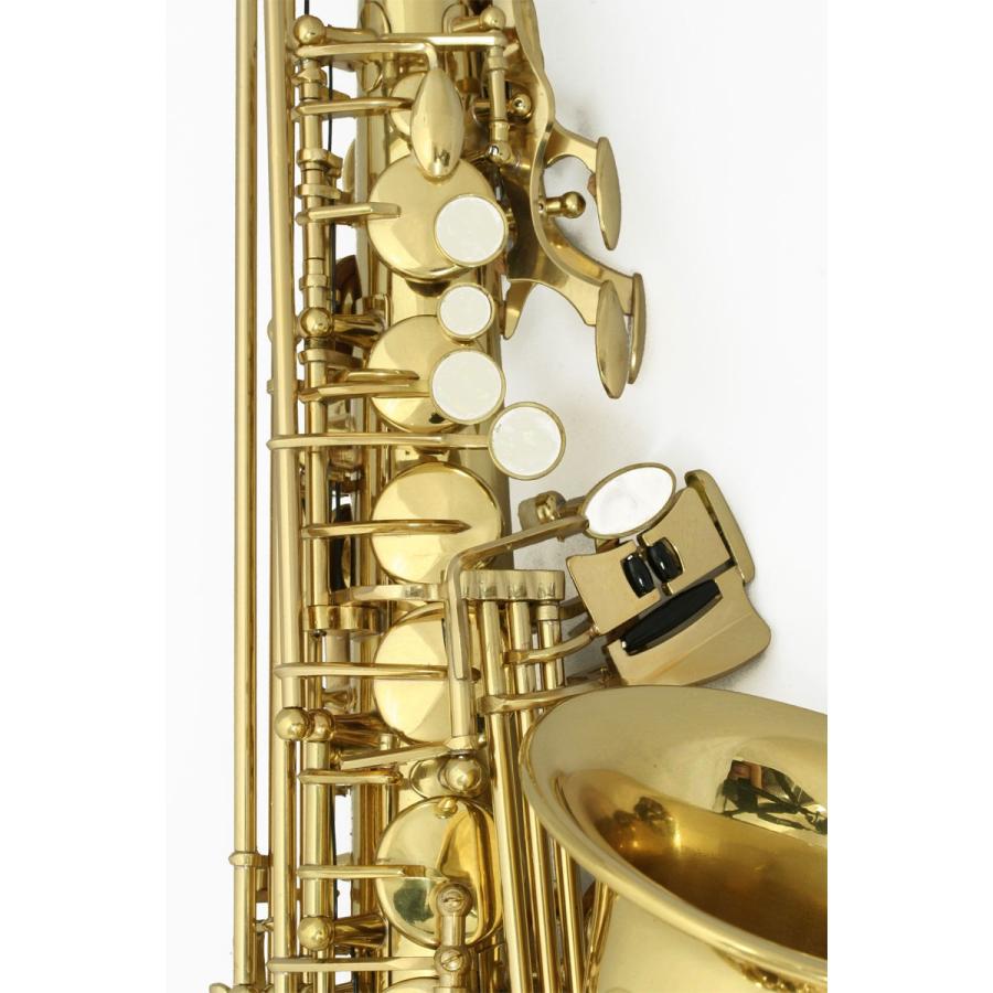 SELVA 初心者向けアルトサックス入門セット ALTOSAX SAS-100 セルバ(出荷前検品)(1年保証)