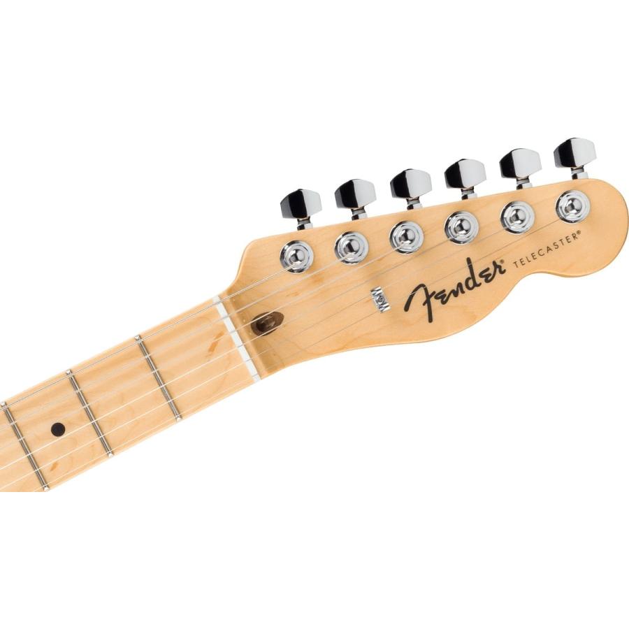 Fender（フェンダー） Fender / Standard Telecaster Maple