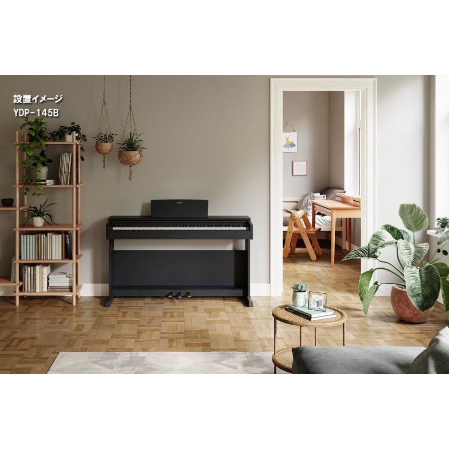 YAMAHA（ヤマハ） (受注停止中)(全国組立設置無料)YAMAHA / ARIUS YDP