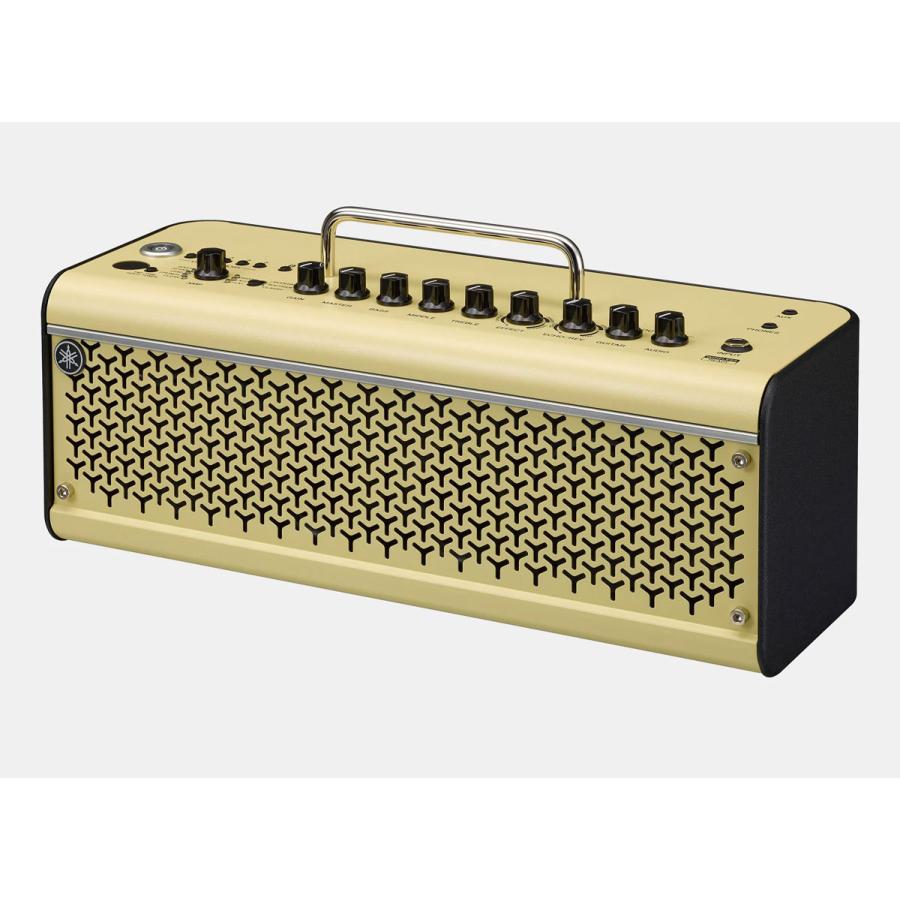 YAMAHA / THR30II Wireless + LINE6 Relay G10TII ワイヤレスセット 