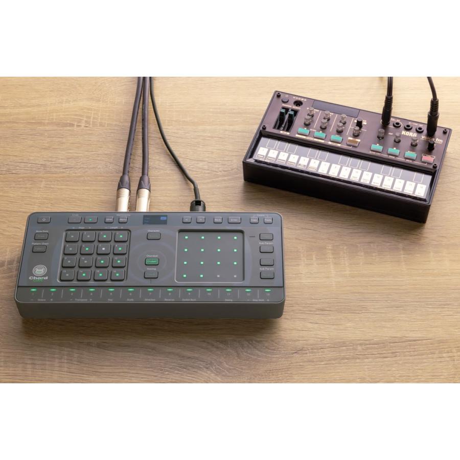 AlphaTheta (TORAIZ) / Chordcat GROOVE BOX : イシバシ楽器 - 通販