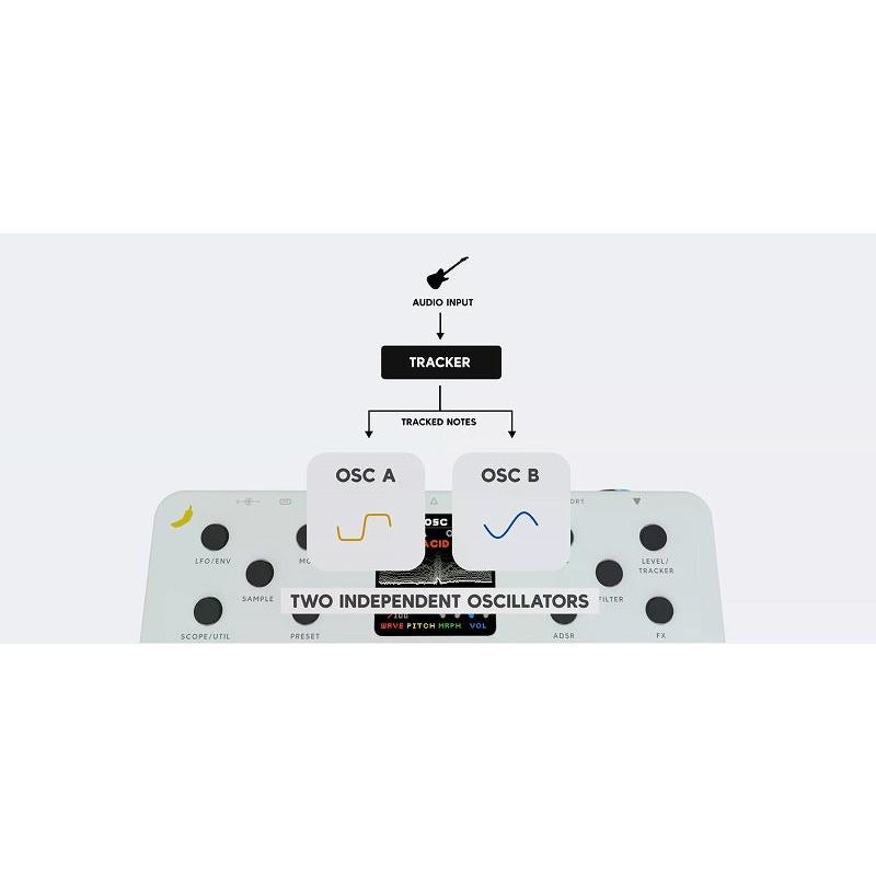 BANANANA effects バナナナエフェクツ / QUIMERA SYNTHESIZER PEDAL