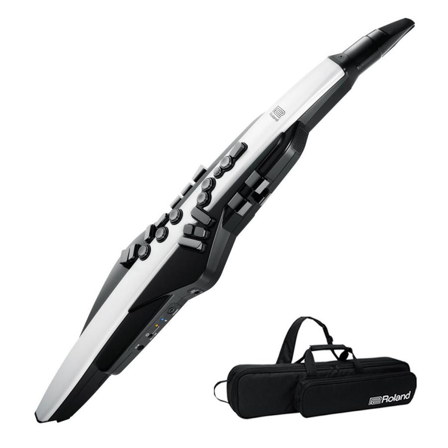 ローランド（Roland） Roland / AEROPHONE AE-20 エアロフォン