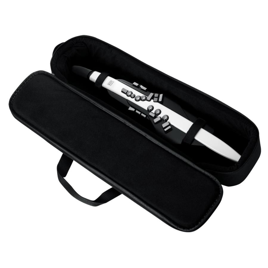 ローランド（Roland） Roland / AEROPHONE AE-20 エアロフォン