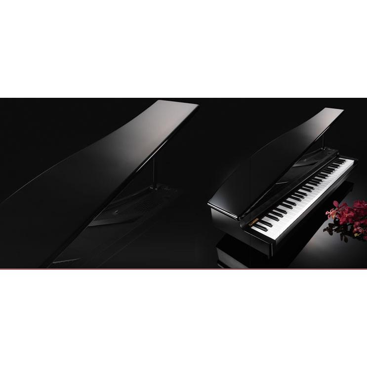 KORG（コルグ） KORG microPIANO BK digital piano BK : イシバシ楽器