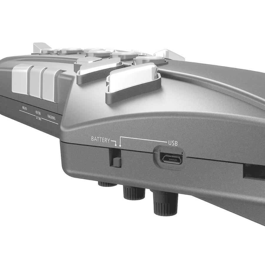 ローランド（Roland） Roland / AE-05 Aerophone GO エアロフォン