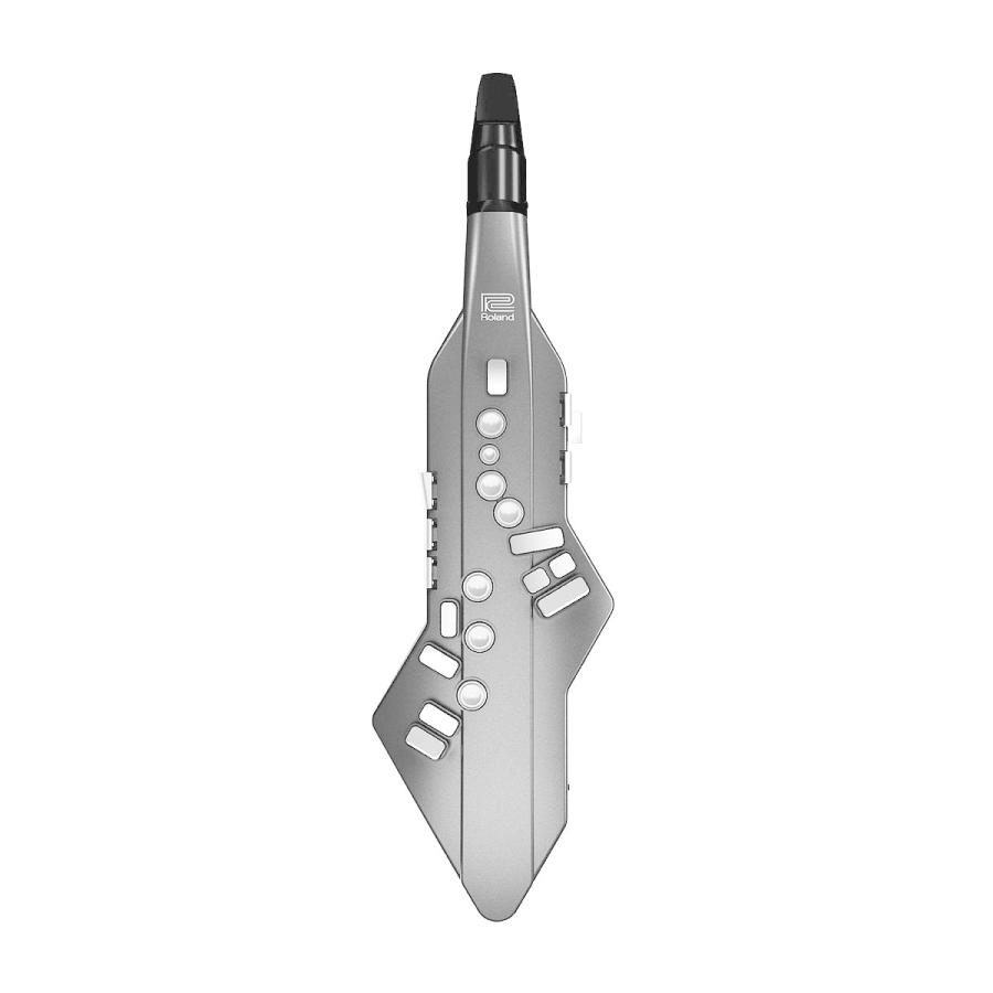 ローランド（Roland） Roland / AE-05 Aerophone GO エアロフォン