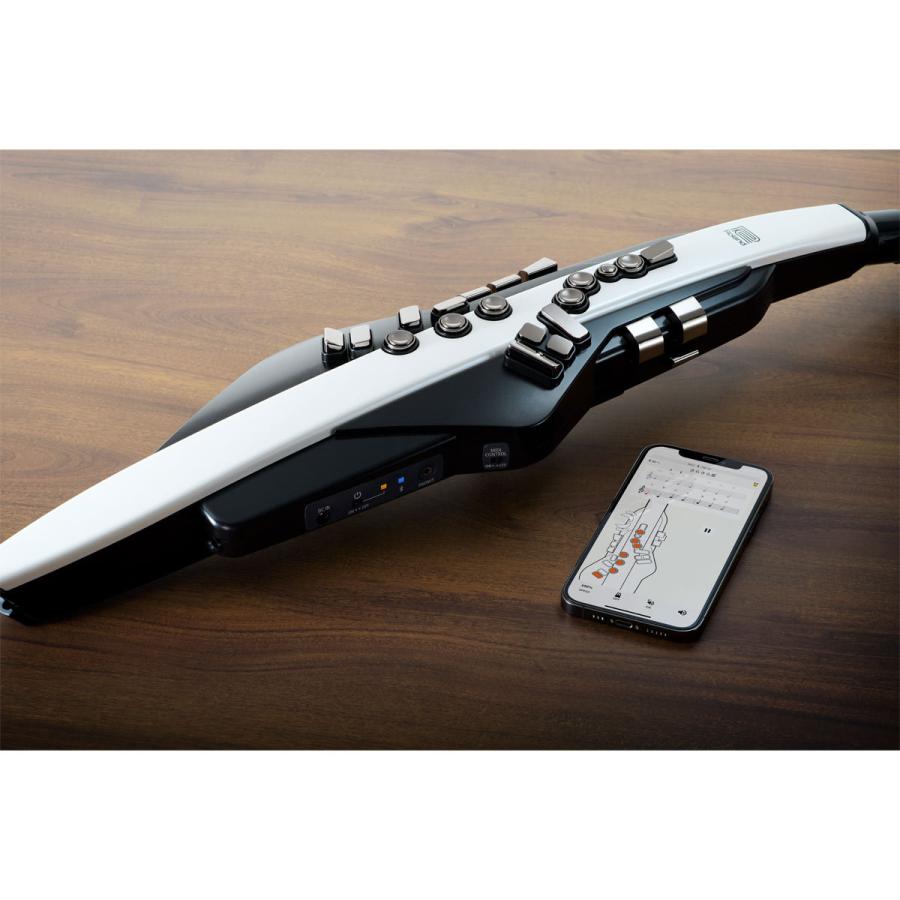 ローランド Roland / AEROPHONE AE-20 エアロフォン デジタル管楽器