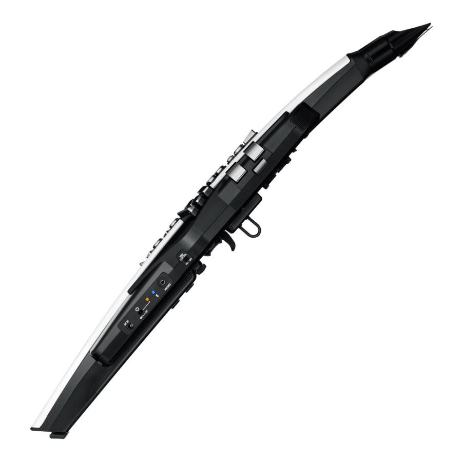 ローランド（Roland） Roland / AEROPHONE AE-20 エアロフォン