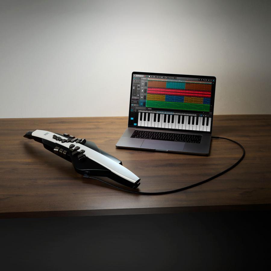 ローランド（Roland） Roland / AEROPHONE AE-20 エアロフォン