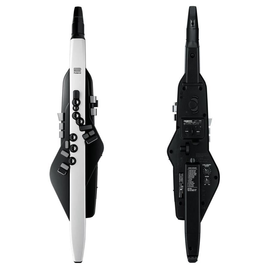 Roland / AEROPHONE AE-20 エアロフォン デジタル管楽器 (オリジナル 