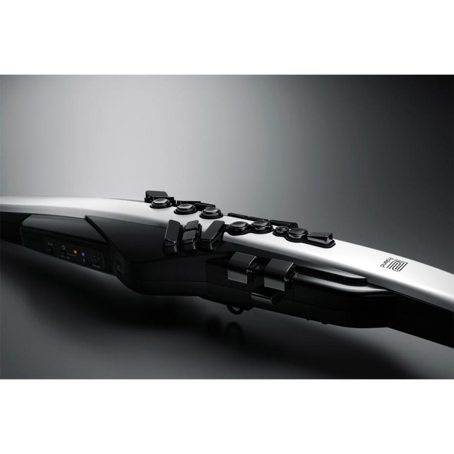 ローランド（Roland） Roland / AEROPHONE AE-20 エアロフォン