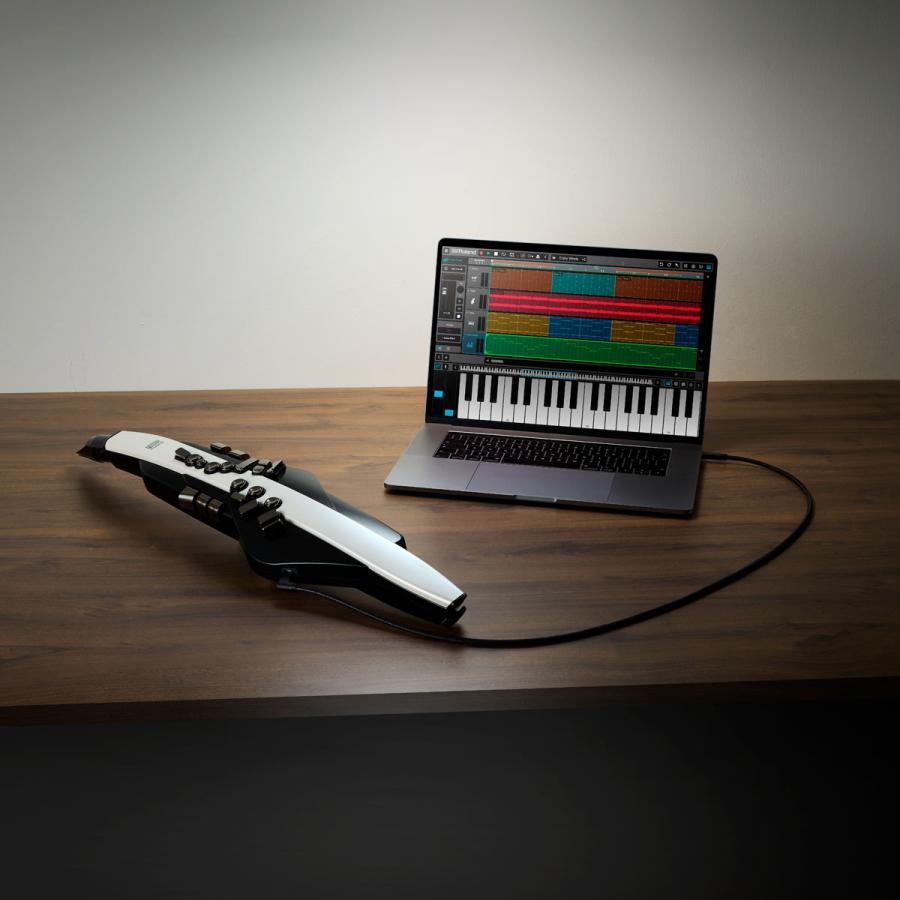 ローランド（Roland） Roland / AEROPHONE AE-20 エアロフォン