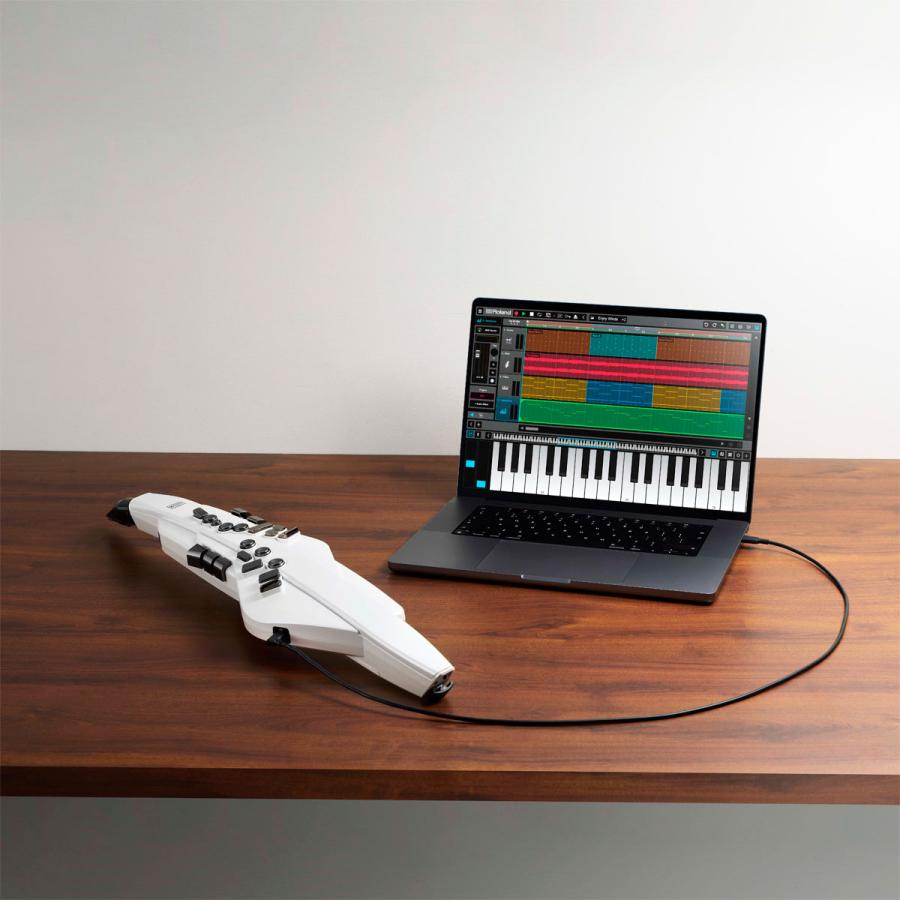 Roland / AEROPHONE AE-20W ホワイト エアロフォン 6大特典セット_9