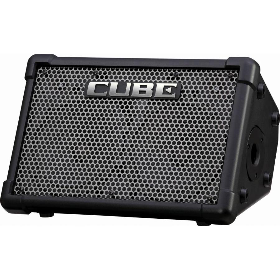 ローランド Roland / CUBE STREET EX 純正バッグ・マイク2本 ローランド Roland / CUBE STREET EX 純正バッグ・マイク2本