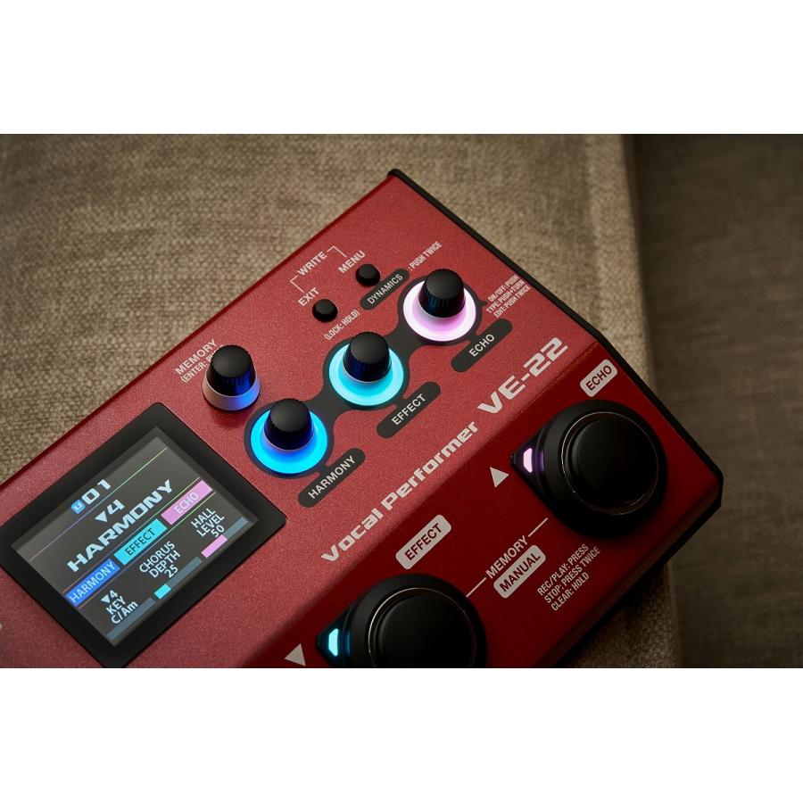 BOSS（ボス） ボス / VE-22 (専用バッグ CB-VE22 ＆ ACアダプター PSA