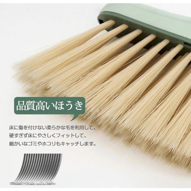 ほうきちりとり セット 屋外 2点セット ホウキ 掃除セット 防風式