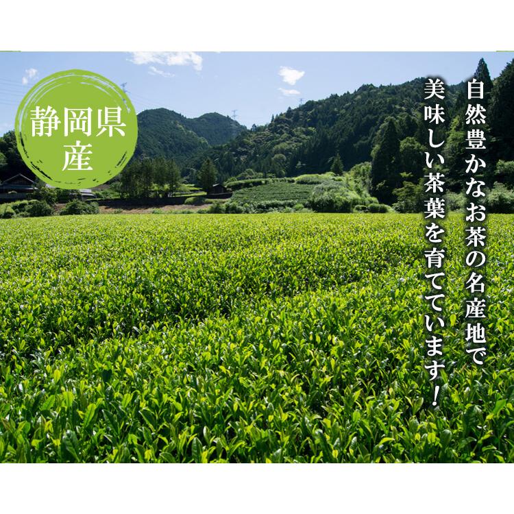 ポスト投函便・送料込み】訳あり 茶葉 緑茶 静岡茶 100g×3本 お茶の葉