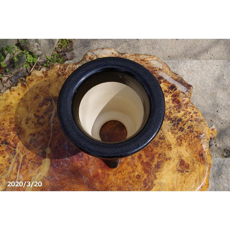 万年青　おもと　蘭鉢　黒　陶器 9鉢　セット 楽天市場】※窯元直送 愛楽園 万年青鉢 3.5号 ☆サナサービス