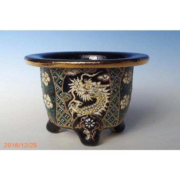 蘭鉢新品錦鉢愛楽園製