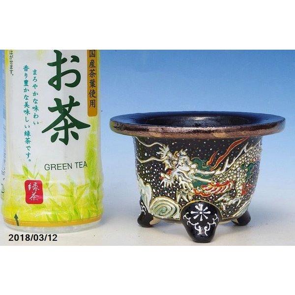 ⁄ 富貴蘭錦鉢 山野草の石田精華園 3.5号 | 愛楽園