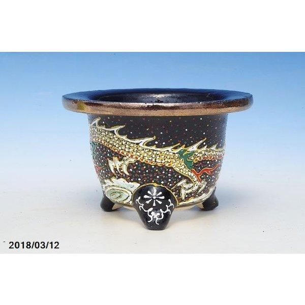 ⁄ 富貴蘭錦鉢 山野草の石田精華園 3.5号 | 愛楽園