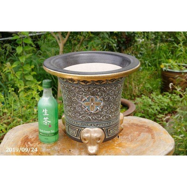 ◇◆ 千秋斎作　脇名『無極』　籐巻き　十四.ニ尺 ◆◇ SUZUKI WK-2 学校用四尺箏 ちどり スズキ | 島村楽器オンライン