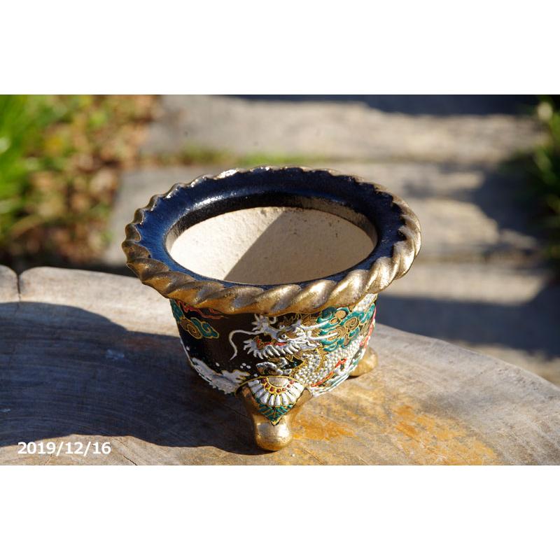 現品 No.6392】 京楽焼 植木鉢 愛楽園 富貴蘭錦鉢 縄縁昇竜文様 現品 No.6392】 京楽焼 植木鉢 愛楽園 富貴蘭錦鉢 縄縁昇竜文様