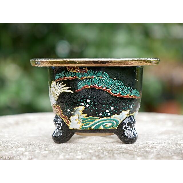 京楽焼 富貴蘭鉢 5号 10個 京楽焼 富貴蘭鉢 5号