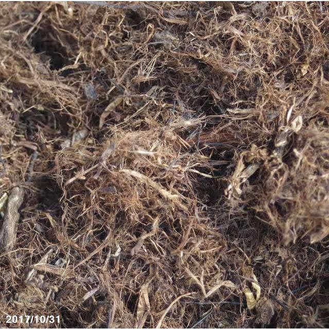 寄せ植え培養土材料 小袋 国内産 長繊維ピートモスc級品 6l アクアリウムph調整 Bs 068 石田精華園 Yahoo 店 通販 Yahoo ショッピング