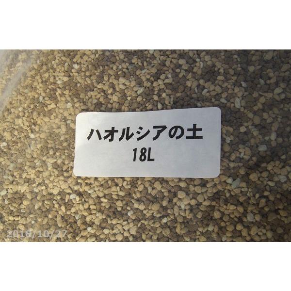 多肉植物用 ハオルチア ハオルシア の土 1号 細粒 18l 長期肥料付 軒下栽培向き 用土 肥料 送料無料 Bs 134 石田精華園 Yahoo 店 通販 Yahoo ショッピング