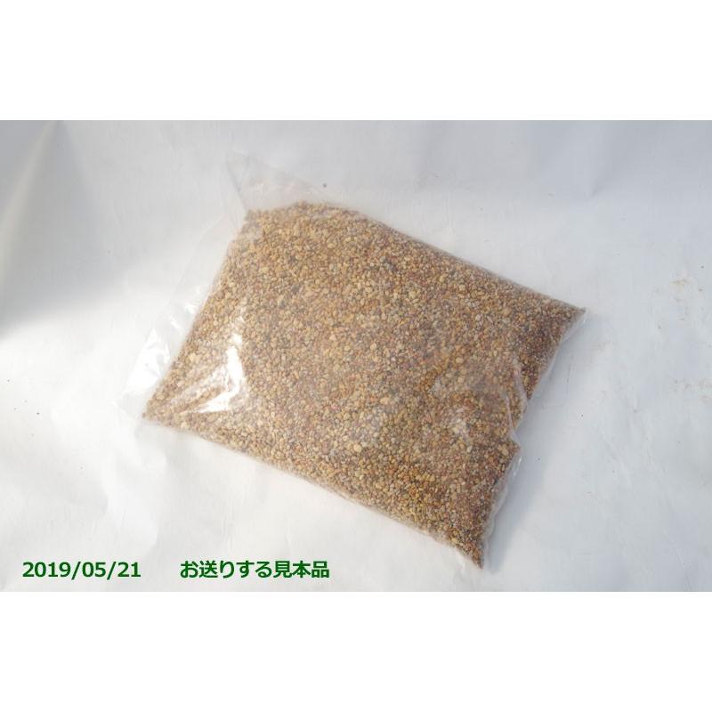 オモトの土 6l 小粒 長期肥料付き 万年青の土 おもとの土 用土 肥料 Bs 302 石田精華園 Yahoo 店 通販 Yahoo ショッピング