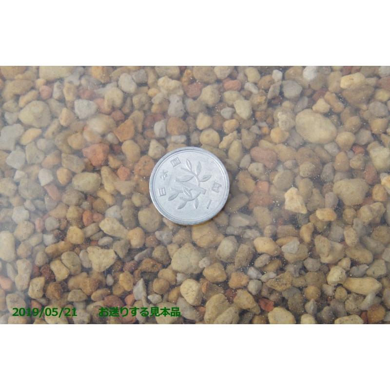 オモトの土 6l 小粒 長期肥料付き 万年青の土 おもとの土 用土 肥料 Bs 302 石田精華園 Yahoo 店 通販 Yahoo ショッピング