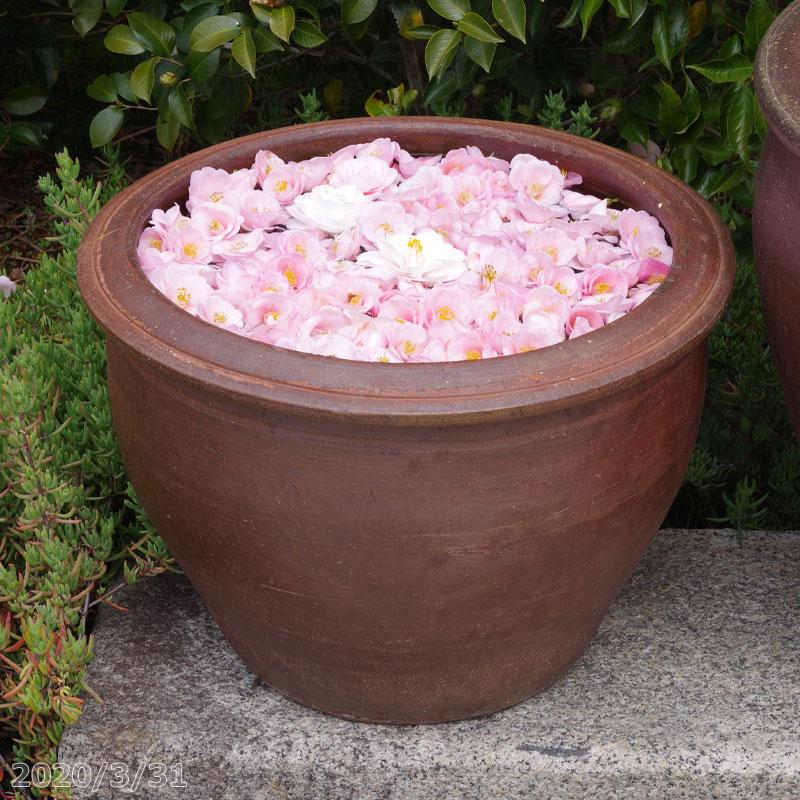 アジアンテイスト南蛮焼 深鉢 水鉢 (中) 外径40cm 20L 【ハス鉢