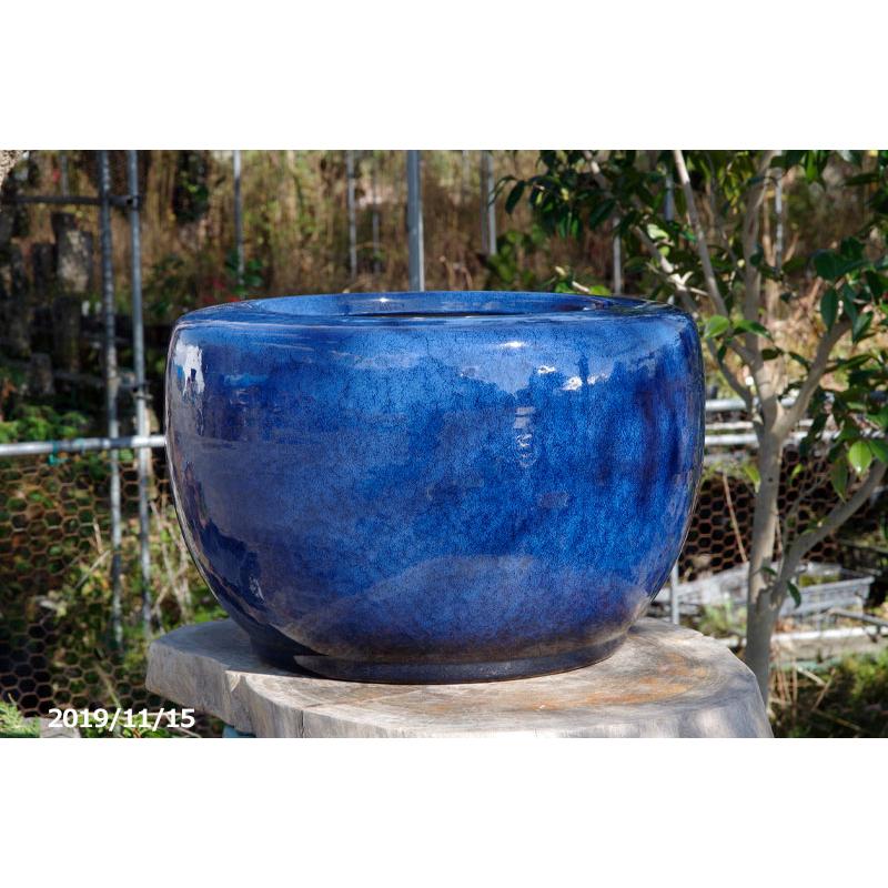 信楽焼 火鉢 生子 15号 【送料無料】【産地直送】 _tanp : 石田精華園