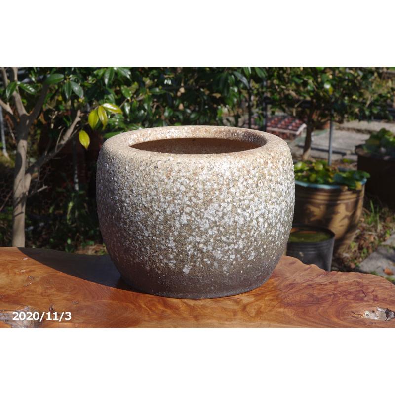 信楽焼 火鉢 白砂 10号（30cm） 【送料無料】【産地直送】 _tanp