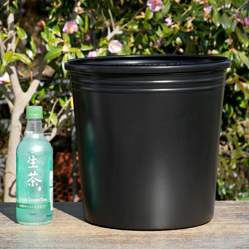 簡易持ち手つきポリポット（ビニールポット）10号(30cm) (底穴無)【花