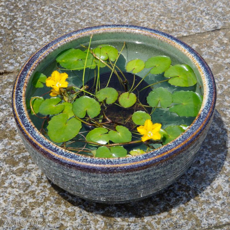 信楽焼 睡蓮鉢 天目ボール 10号 (直径30cm 高さ16cm)+お好き 信楽焼 睡蓮鉢 天目ボール 10号 (直径30cm 高さ16cm)+お好き
