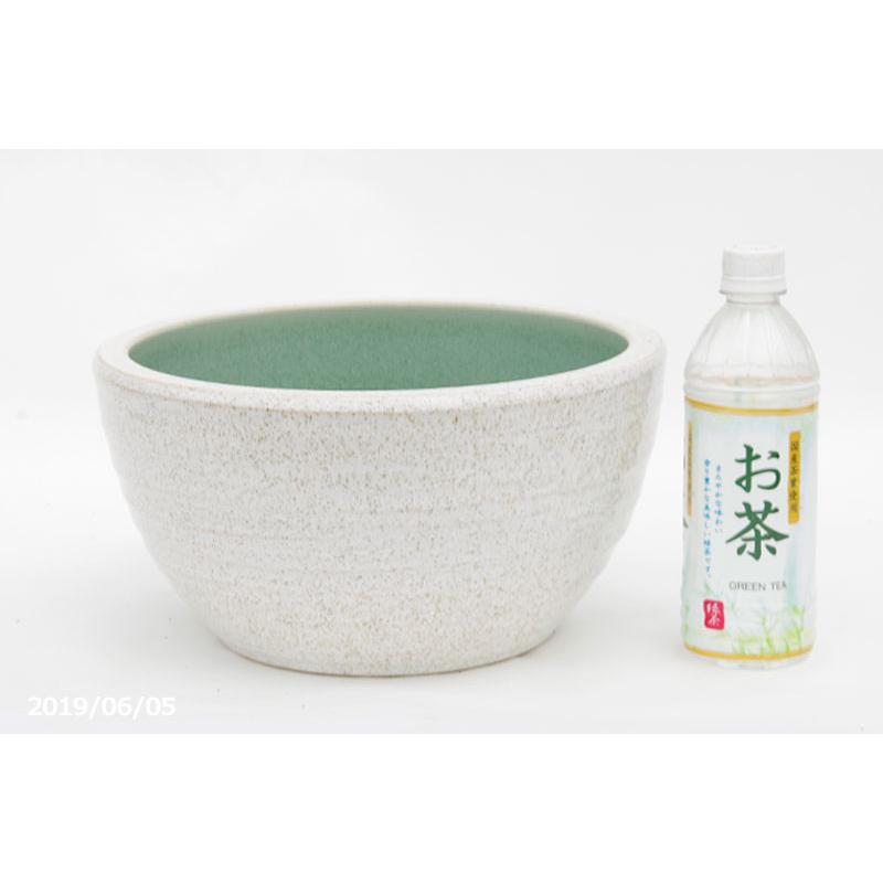信楽焼 睡蓮鉢 白ボール 10号 外径30cm 高さ16cm お好きな水草 メダカ5匹 死着保証無 プレゼント 送料無料 Hs 052 石田精華園 Yahoo 店 通販 Yahoo ショッピング